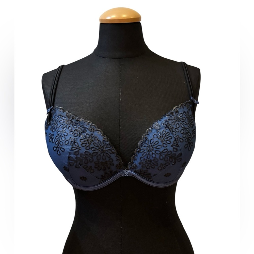 Victoria’s Secret Sexy Little Things Blue Floral Embroidery Push-Up Bra 34D